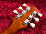 Electric Guitar Les Paul Burny RLG-55 Super Grade Honey Sunburst Soft Case