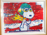 TOM EVERHAET LOW-FAT METL OVER SANTA MONICA 456/750 Frame Glass Surface Art Object Object Interior