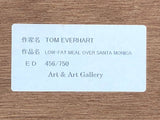 TOM EVERHAET LOW-FAT METL OVER SANTA MONICA 456/750 Frame Glass Surface Art Object Object Interior